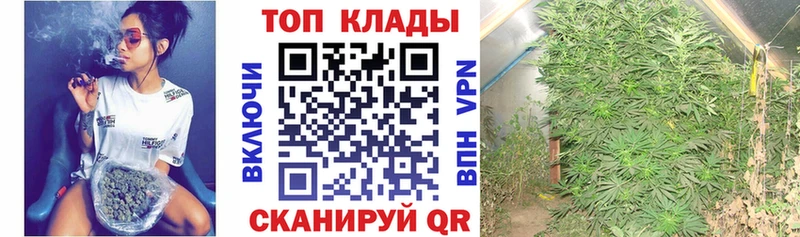 Канабис Белокуриха