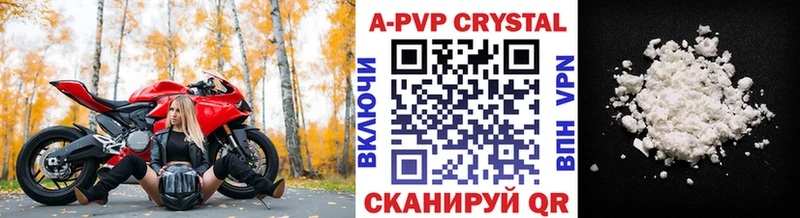 A-PVP СК КРИС Белокуриха